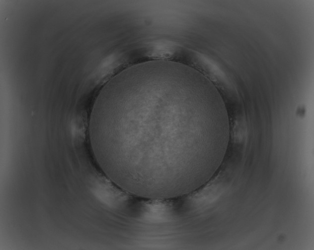 X0000096700370200802121208