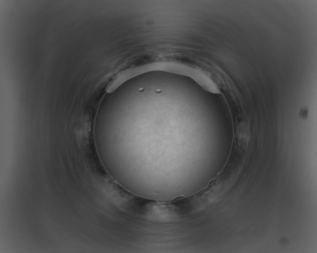 X0000096700372200802121208