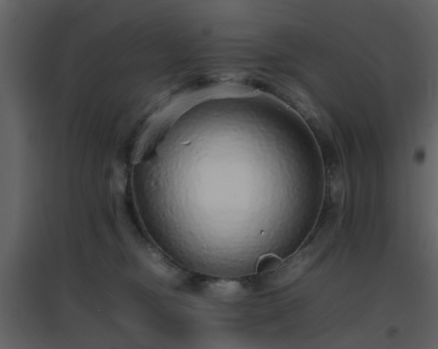 X0000096700374200802121208
