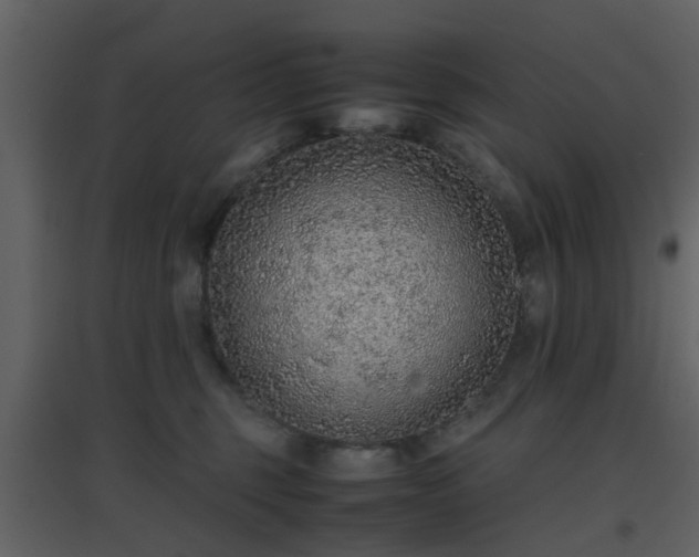 X0000096700375200802121208