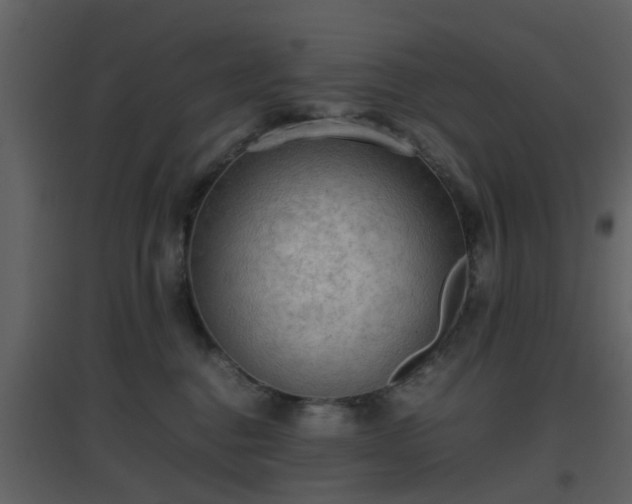 X0000096700376200802121208