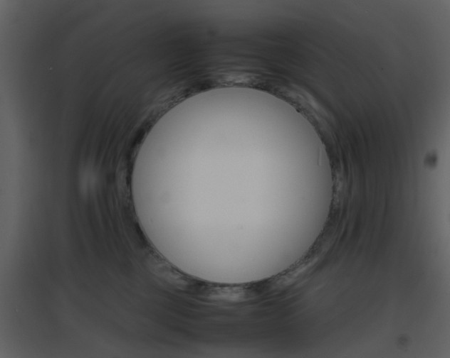 X0000096700377200802121208