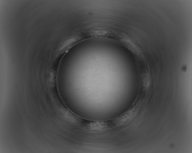 X0000096700378200802121208