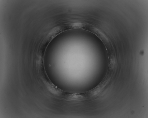 X0000096700379200802121208