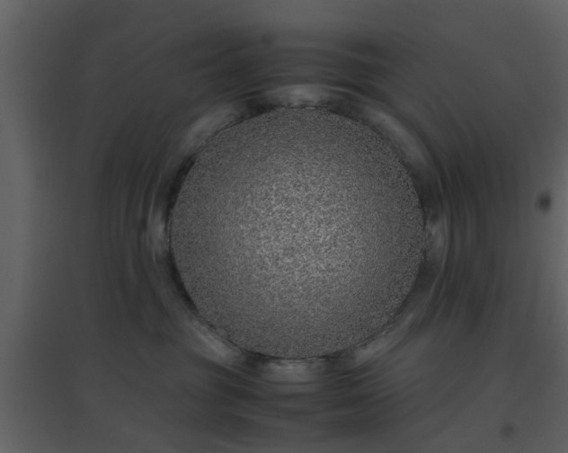 X0000096700381200802121208