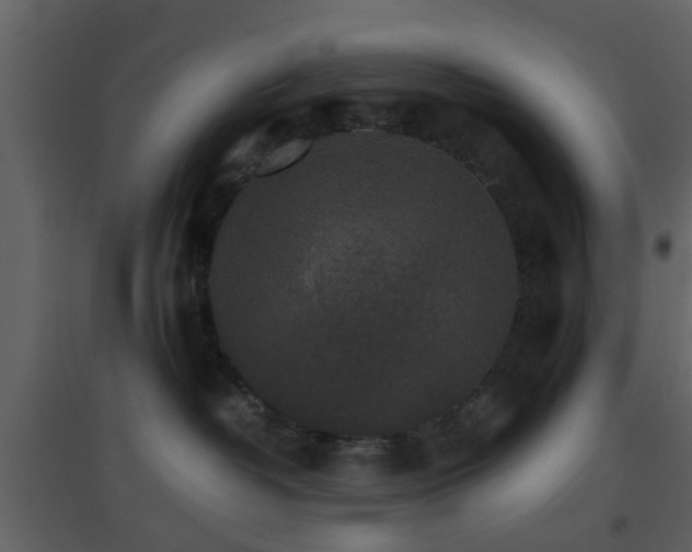 X0000096700382200802121208