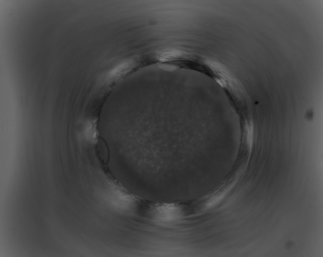 X0000096700383200802121208