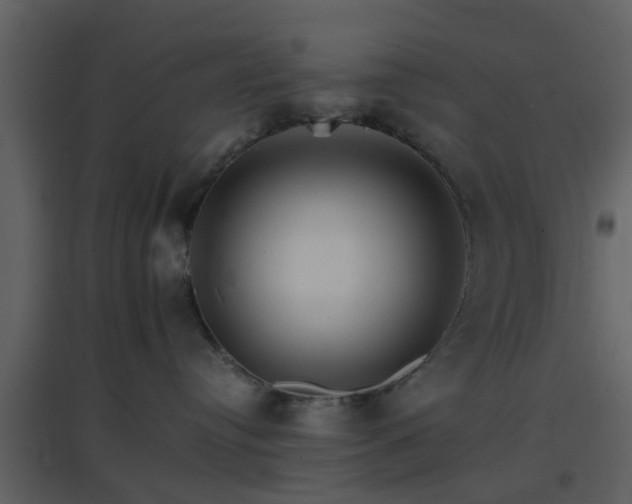 X0000096700384200802121208