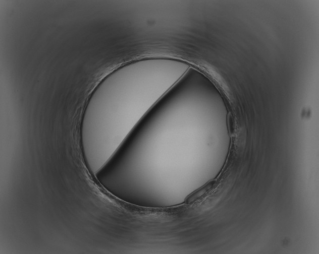 X0000096700385200802121207