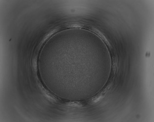 X0000096700386200802121207