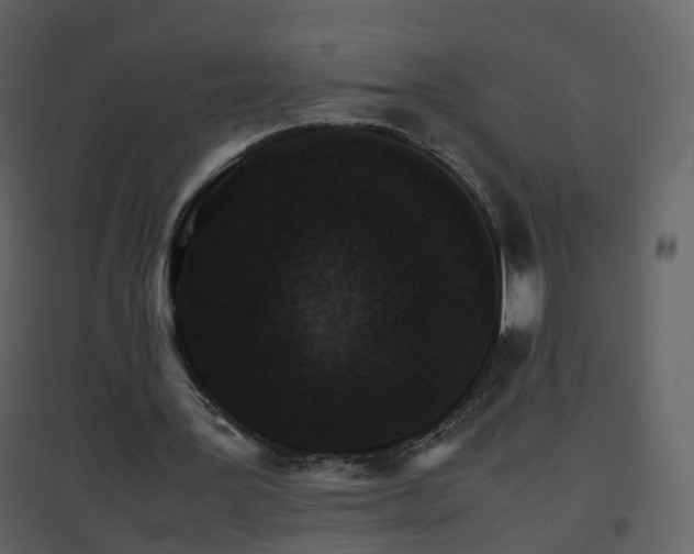 X0000096700387200802121207