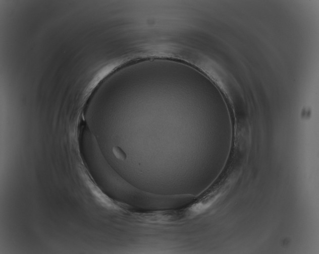 X0000096700389200802121207