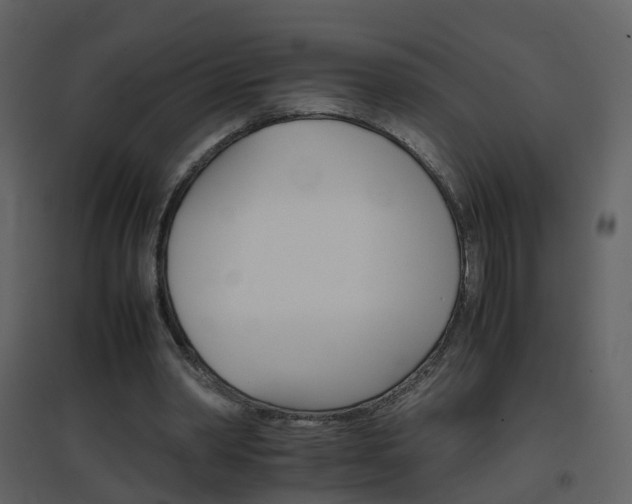 X0000096700390200802121207