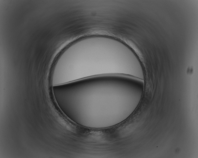 X0000096700391200802121207