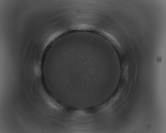 X0000096700392200802121207