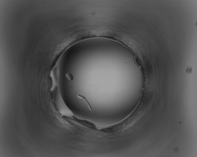 X0000096700393200802121207
