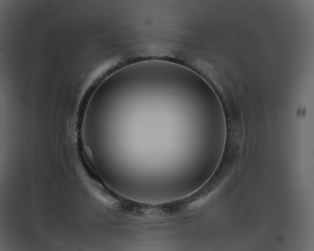 X0000096700395200802121207