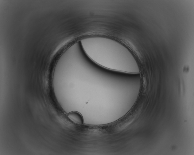 X0000096700396200802121207