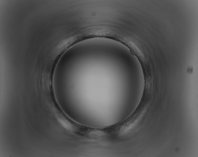 X0000096700397200802121207