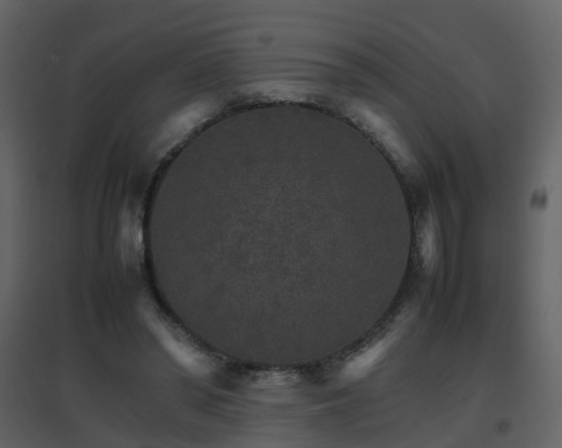 X0000096700398200802121207