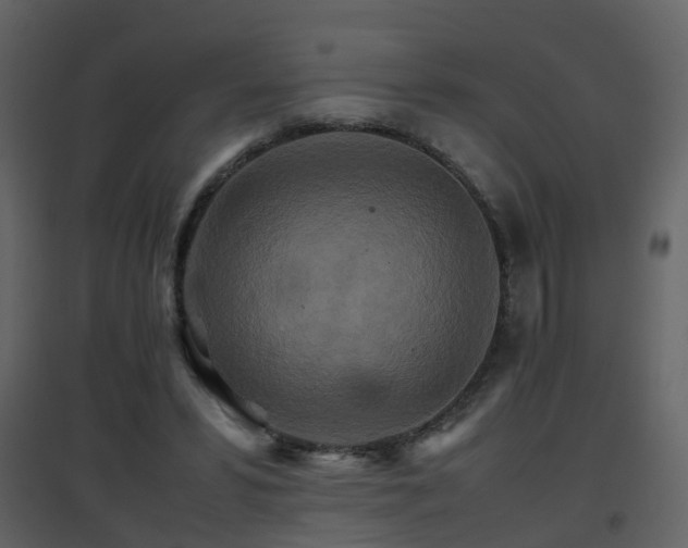 X0000096700399200802121207