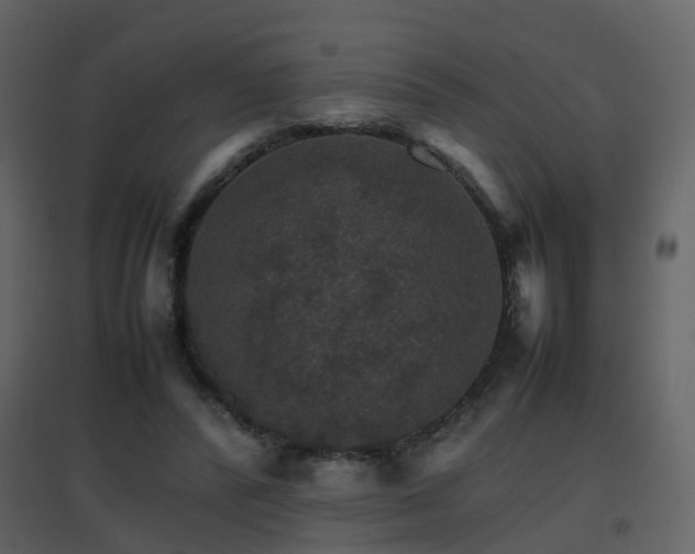X0000096700400200802121207