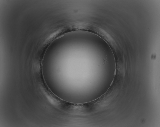 X0000096700401200802121207