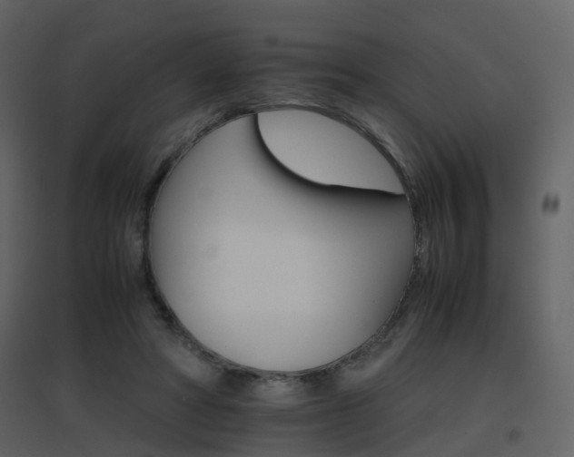 X0000096700402200802121207