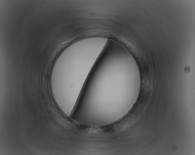X0000096700403200802121207