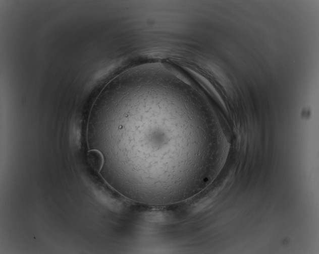 X0000096700404200802121207