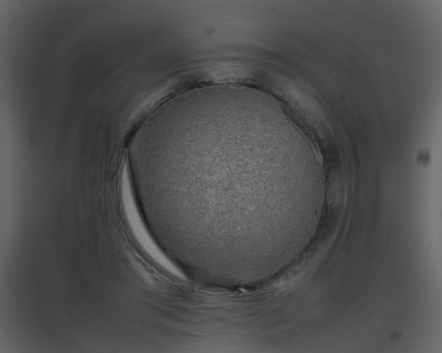 X0000096700405200802121207