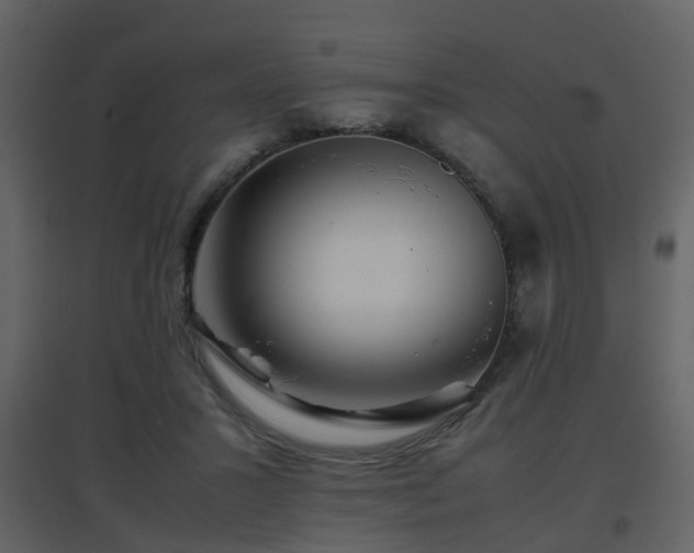 X0000096700407200802121207