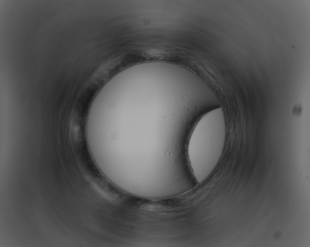 X0000096700408200802121207