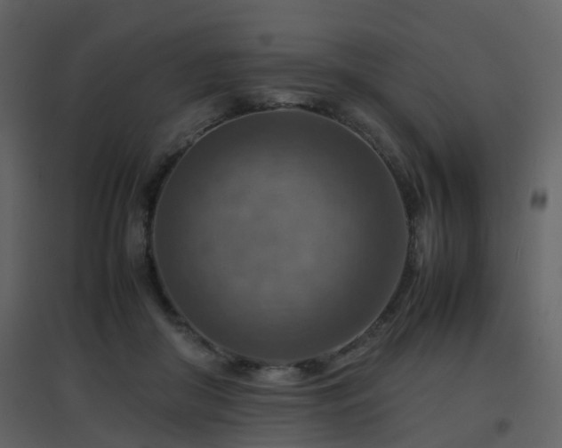 X0000096700410200802121207