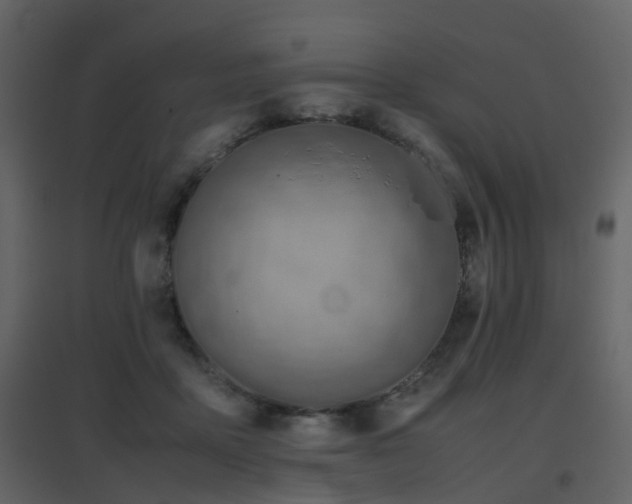 X0000096700411200802121207