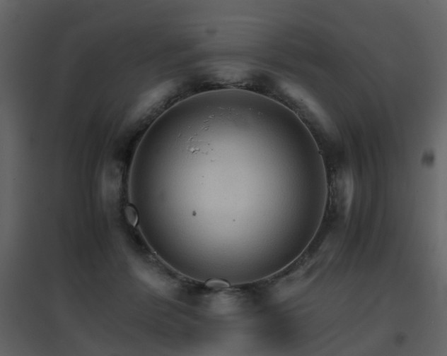 X0000096700412200802121207