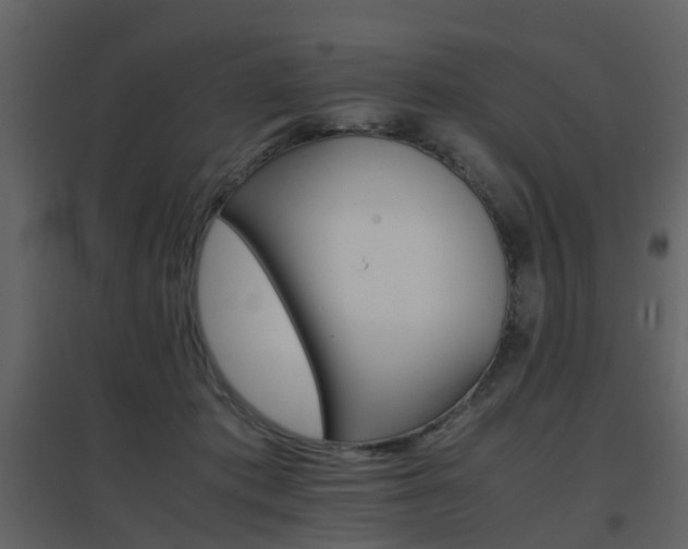 X0000096700413200802121207