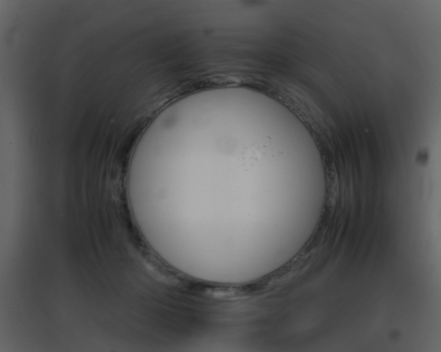 X0000096700414200802121207