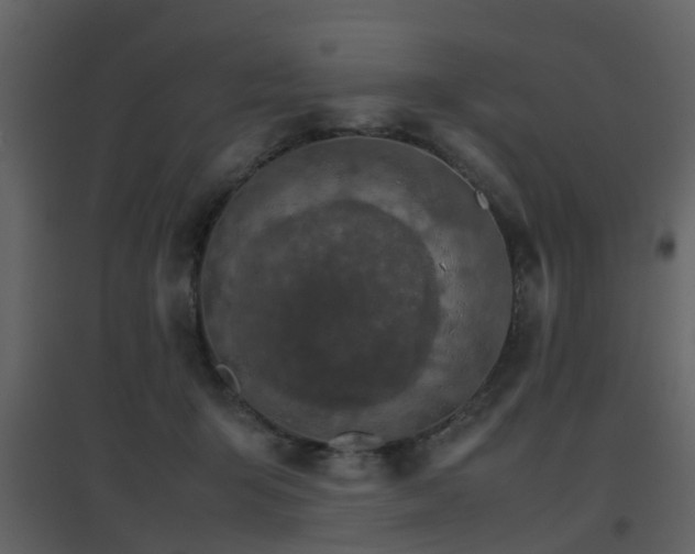 X0000096700415200802121207