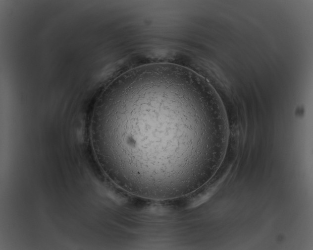 X0000096700416200802121207