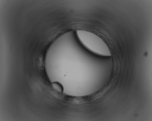X0000096700420200802121207