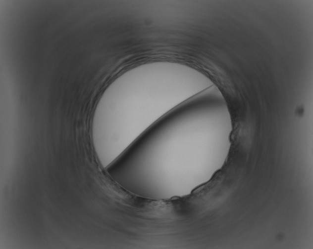 X0000096700421200802121207