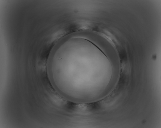 X0000096700423200802121207