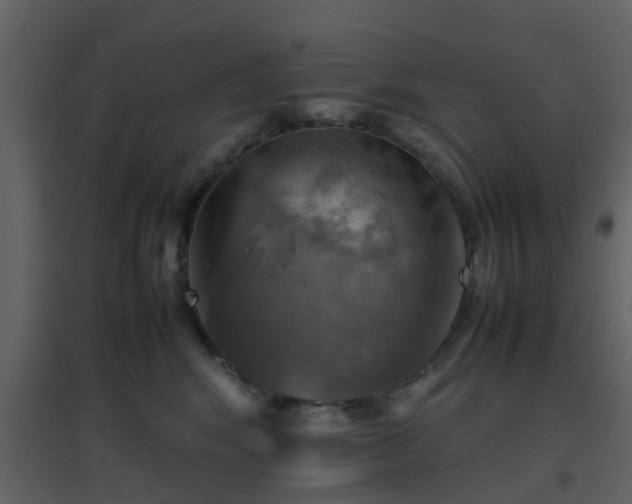 X0000096700424200802121207