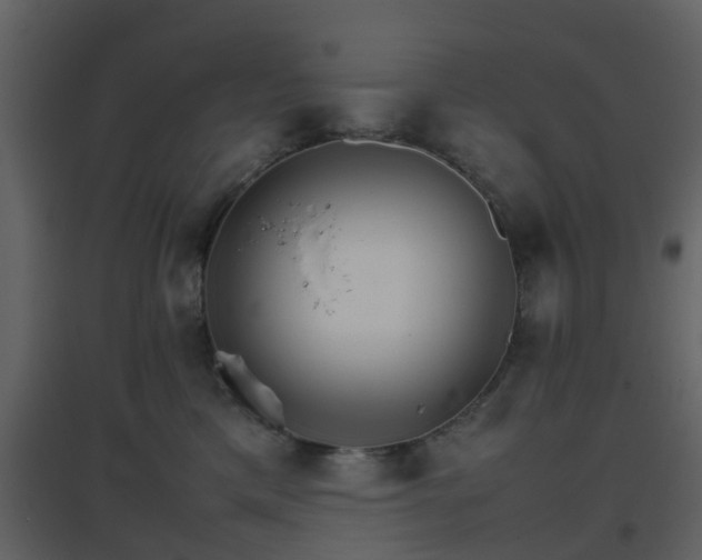 X0000096700425200802121207