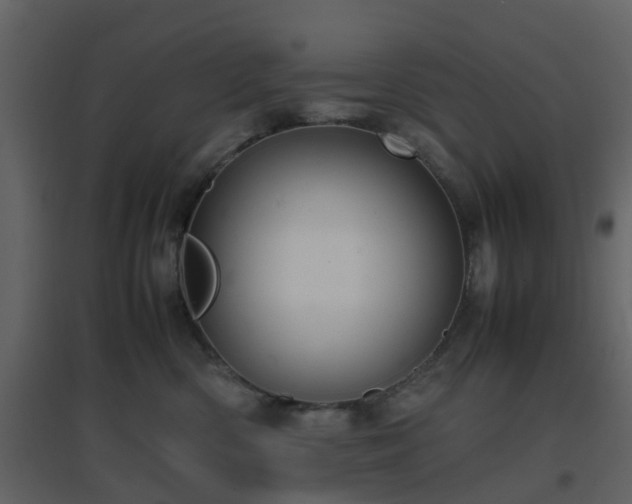 X0000096700426200802121207