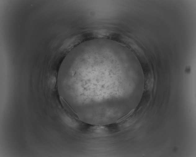 X0000096700427200802121207