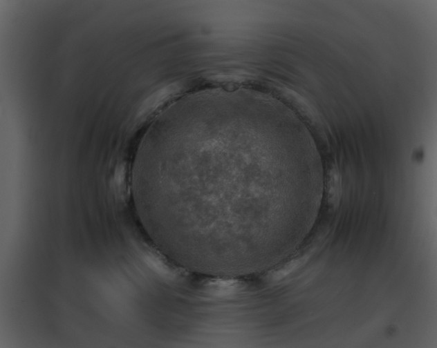 X0000096700428200802121207