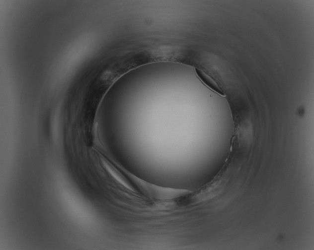 X0000096700429200802121207