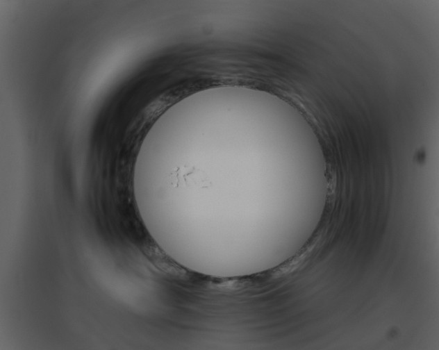 X0000096700430200802121207